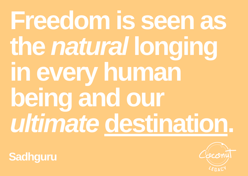 mindfulness quote freedom