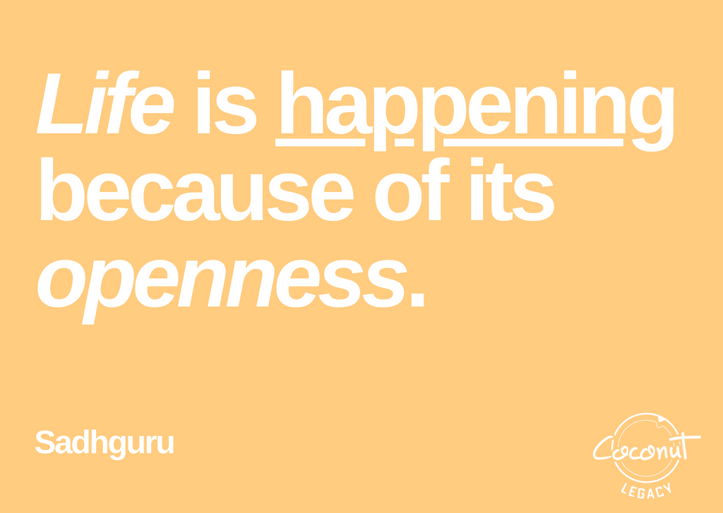 mindfulness quote openness