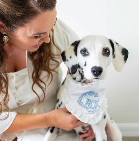 Dog bandana