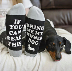 Sock Doggo Holiday Gift For Dogs