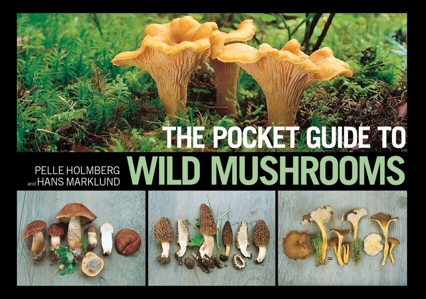 Pocket Guide to Wild Mushrooms Book Symbols Photos Cleaning Preserving Cooking 400