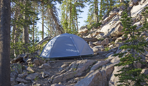 Camping tarp or camping tent.