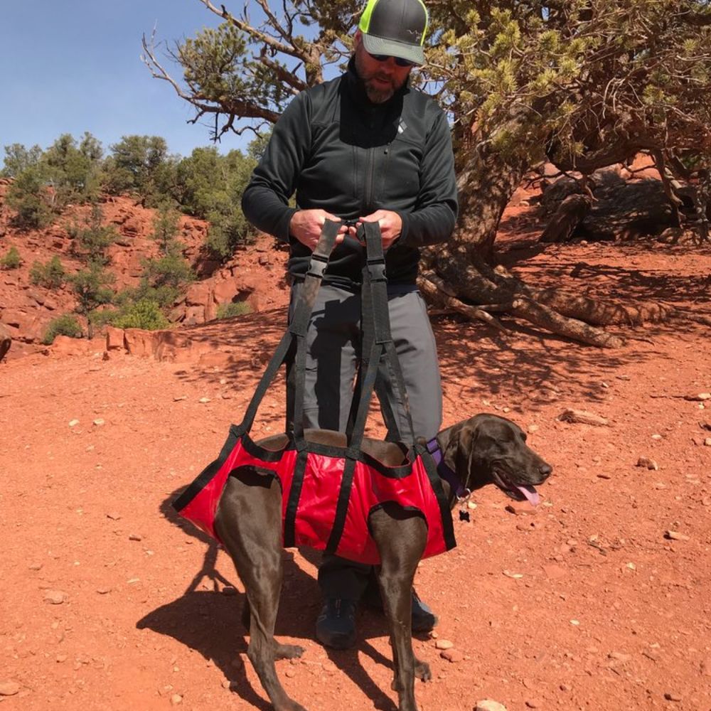 emergency dog harness