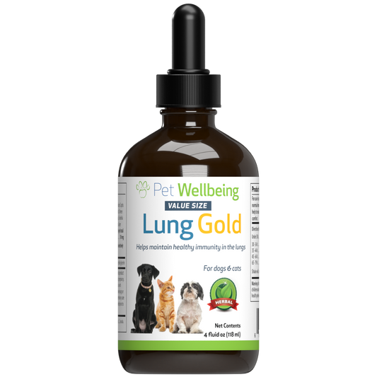 Young at Heart - for Healthy Heart Maintenance in Dogs | Pet Wellbeing