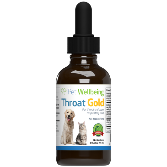 what can soothe a dogs throat