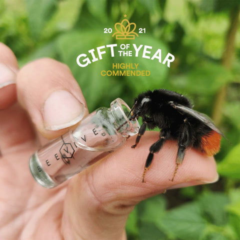 beevive bee revival kit - eco friendly gift