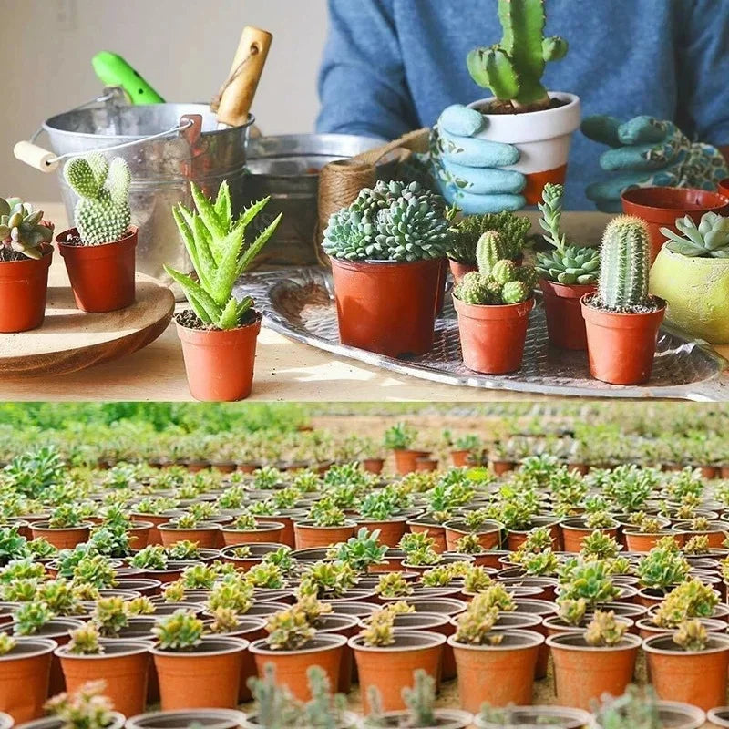 Vaso Pequeno Flexível para Plantas: Cultive com praticidade e sustentabilidade. Ideal para mudas e ambientes internos.