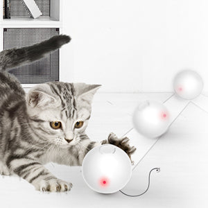 Trackball rotativo interativo para gato, Divertido jogo interativo,  Brinquedo do gato divertido, Peito cerebral estimulante, Interior,  Engraçado - AliExpress