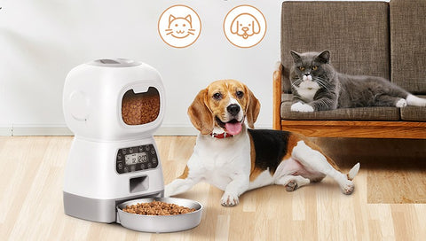 Comedor Automático para Gatos e Cachorros: Nutrição precisa e conveniência para seu pet. Programação flexível, alimentos sempre frescos.