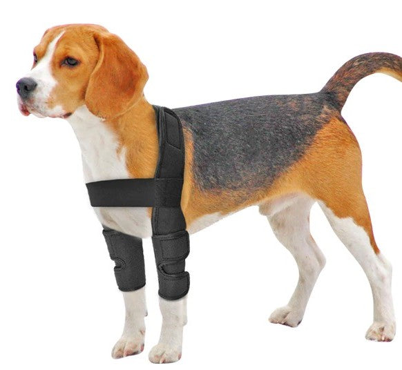 Polideia compre melhor Cotoveleira para Cachorros Ortopédica Bilateral direito e esquerdo órtese para cachorro pet barato