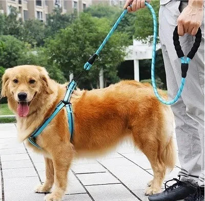 Proporcione liberdade segura para seu cão com o Guia até 80kg. Resistência, estilo e conforto em cada passeio