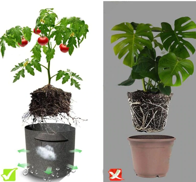 Cultive plantas saudáveis com o Vaso de Feltro Tecido para Cultivo. Design respirável para crescimento rápido. Durável e reutilizável