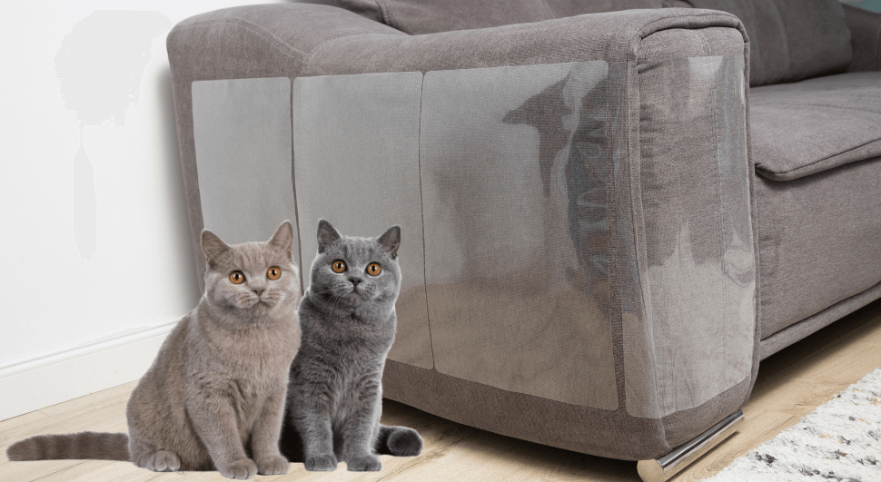 Protetor de Sofá para Gatos Adesivo - Sofá protegido e gatos felizes.