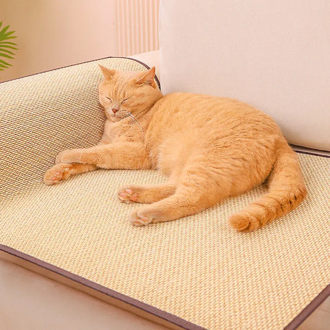 Protetor de Sofá para Gatos - Mantenha Seu Sofá Impecável e Seu Gato Confortável