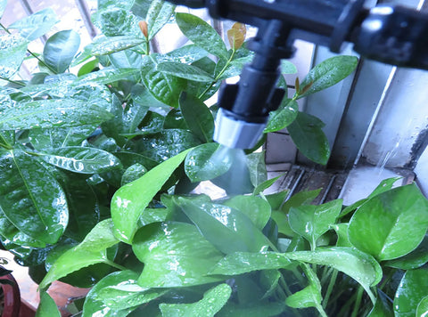 Kit de Irrigação por Gotejamento: Cuide das plantas com eficiência. Economize água. Ideal para jardins, gramados e estufas