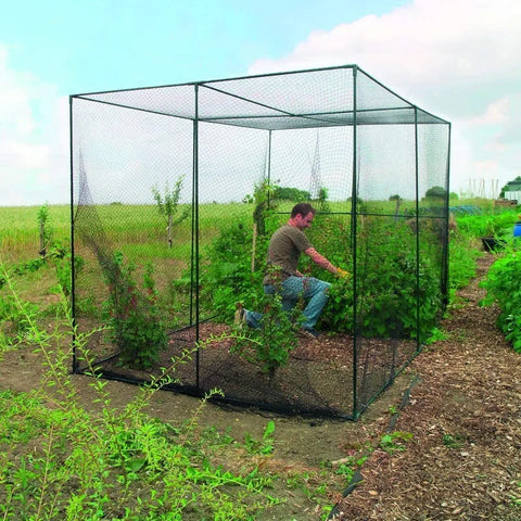 Garanta proteção para suas plantas com a Tela Anti Pássaros: malha resistente para jardins exuberantes e quadras esportivas impecáveis