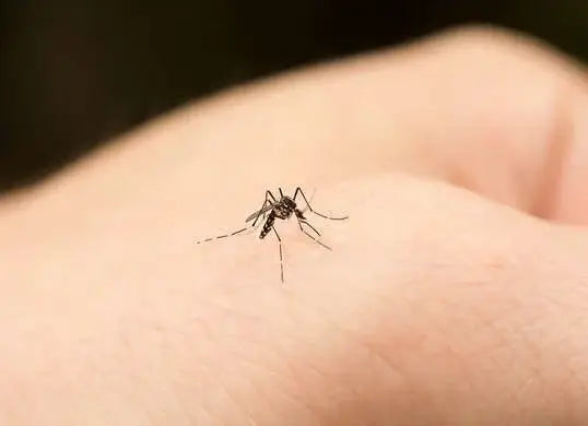 repelente contra mosquito