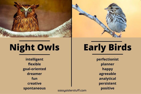 Attributes of Early Bird and Night Owl