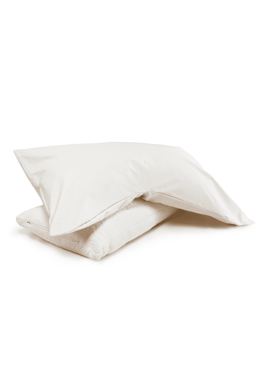 https://cdn.shopify.com/s/files/1/0321/6926/3243/products/pillowcasesidesleepers.png?v=1701813555&width=533