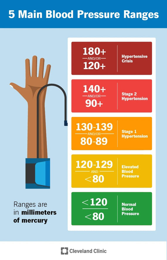 beurer-blood-pressure-monitors-beurer-north-america