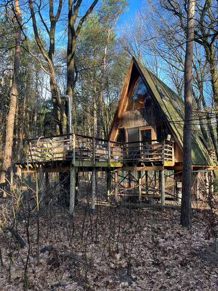 Best Tree Houses Belgium