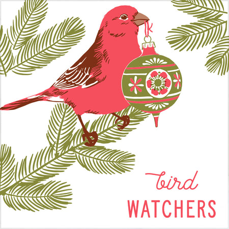 Bird Watchers Gift Guide