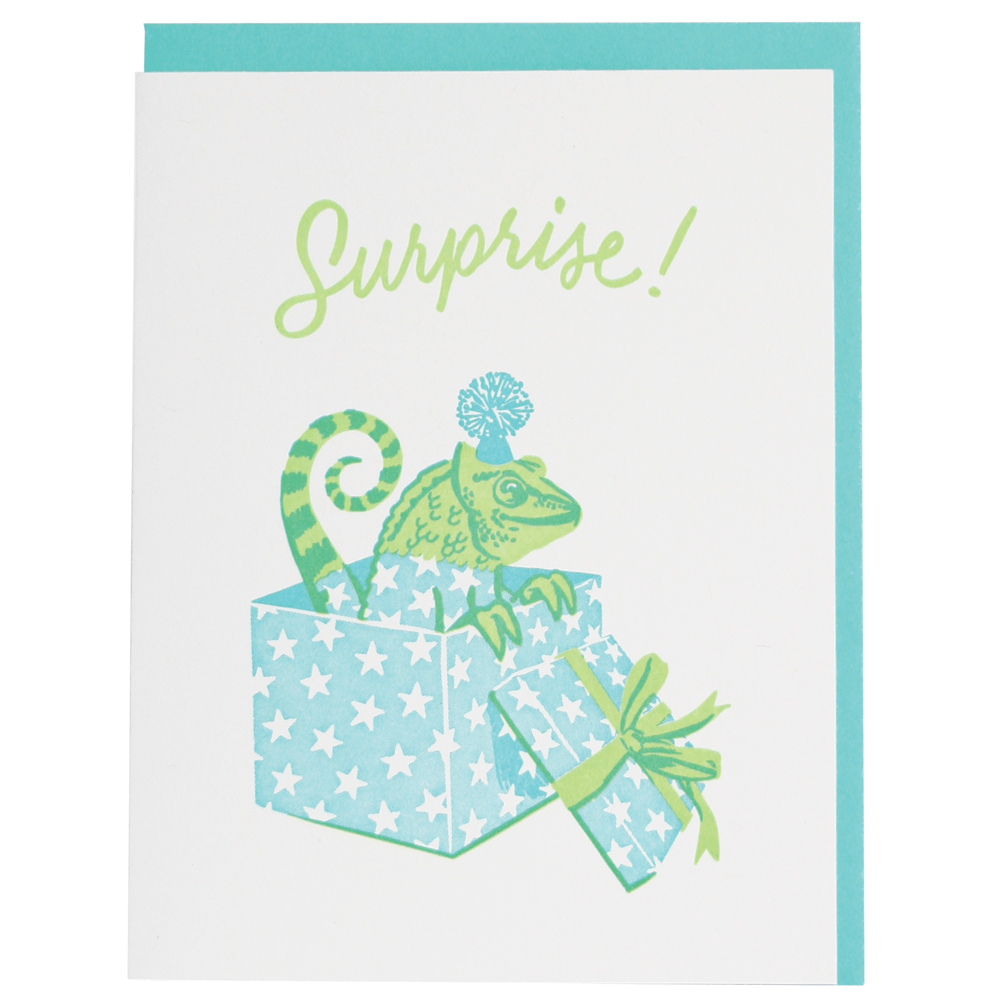 chameleon birthday card birthday cards smudge ink