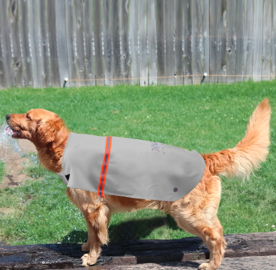 Raincoat for small dogs