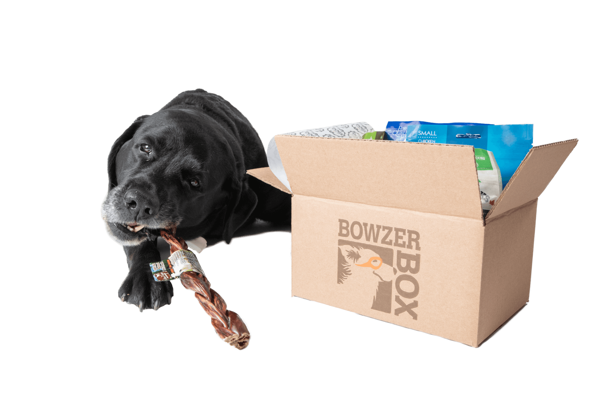 dog subscription box canada