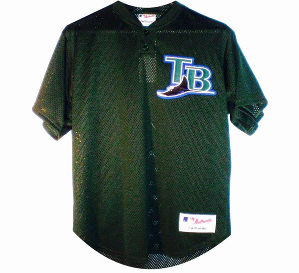 vintage devil rays jersey