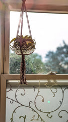 A plant is suspended from the window frame by macrame. It rests on an iridescent federal glass dish. through the window you can see trees and sky.