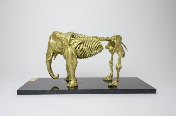 Osseous Elephant Sculpture - Ecart