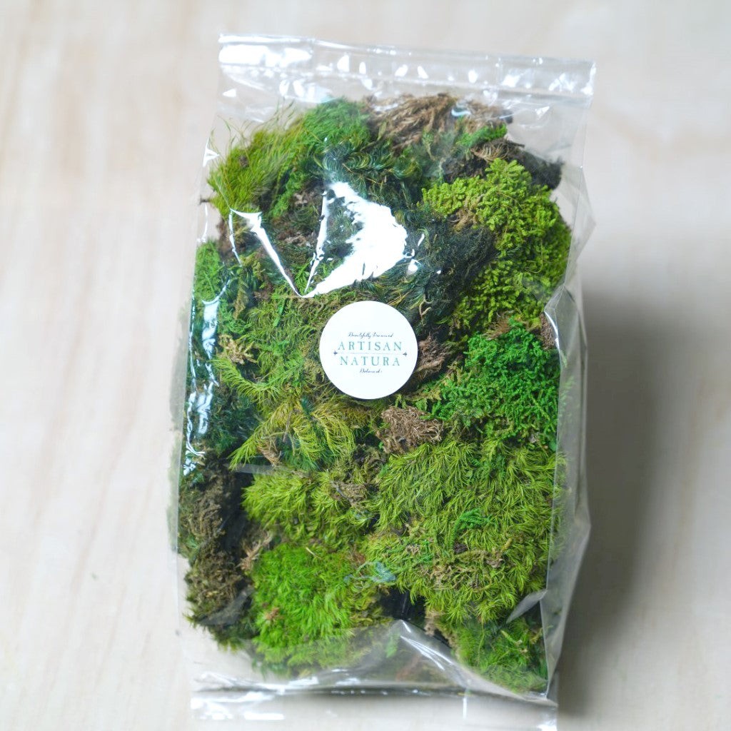 Premium Preserved Clump Moss - Small Pieces (1 lb)