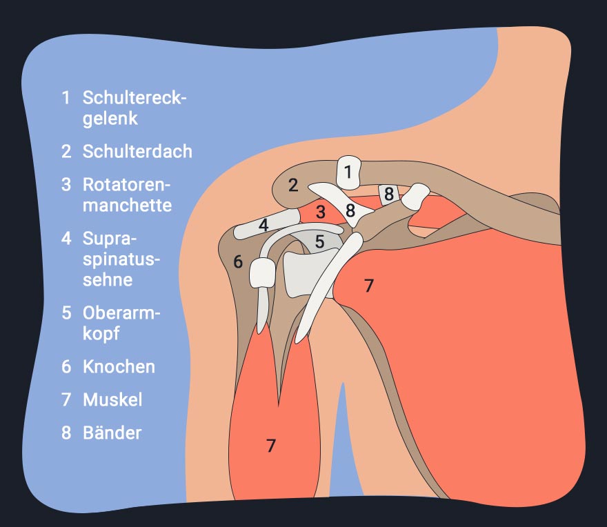 Impingement Syndrom Schulter