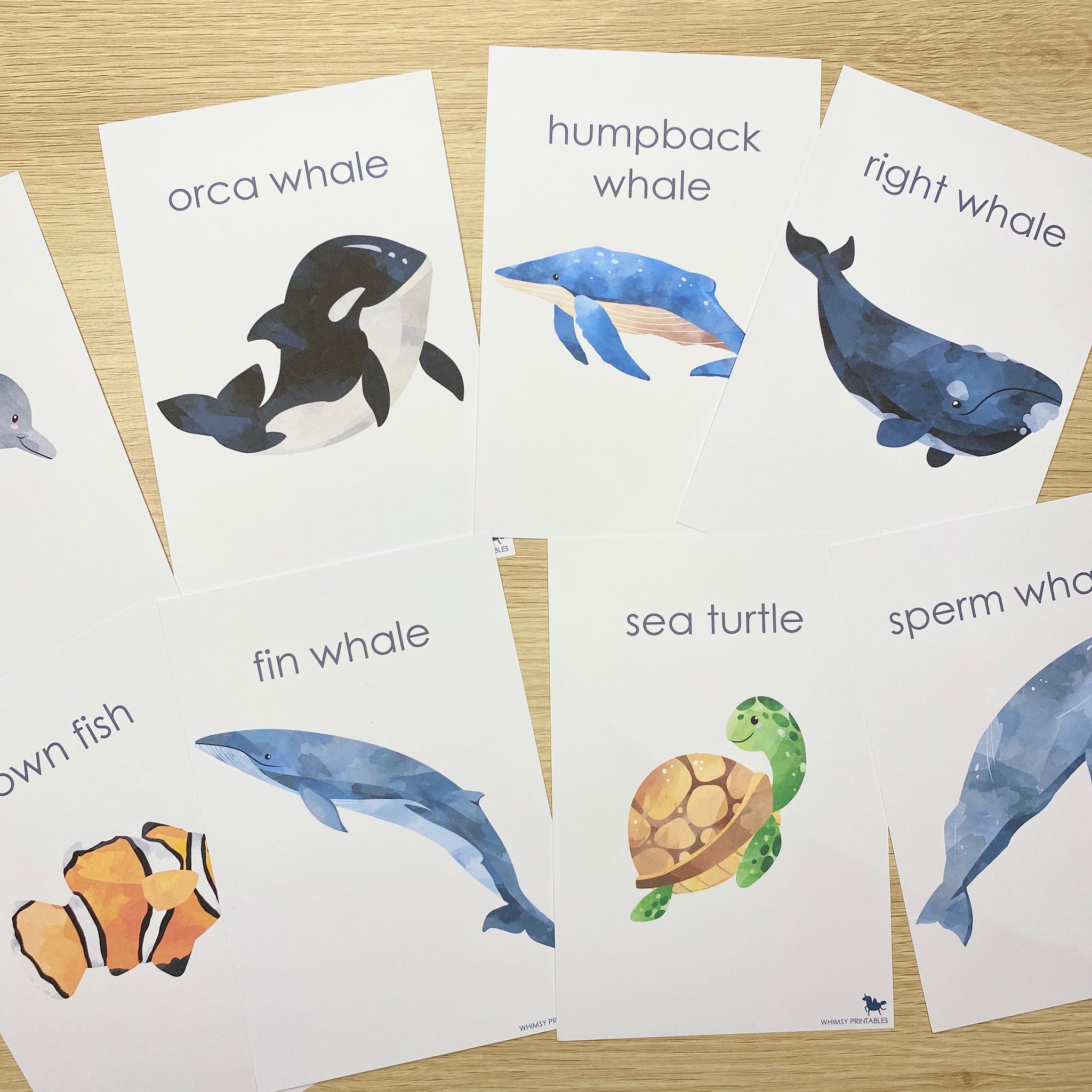 Ocean Animal Flash Cards Whimsy Printables Shop