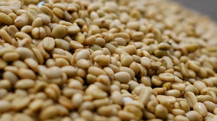 Avoiding trade losses from incorrect measurement of coffee moisture | Graintec Scientific