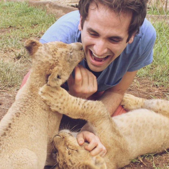 fly-guy-travel-lions