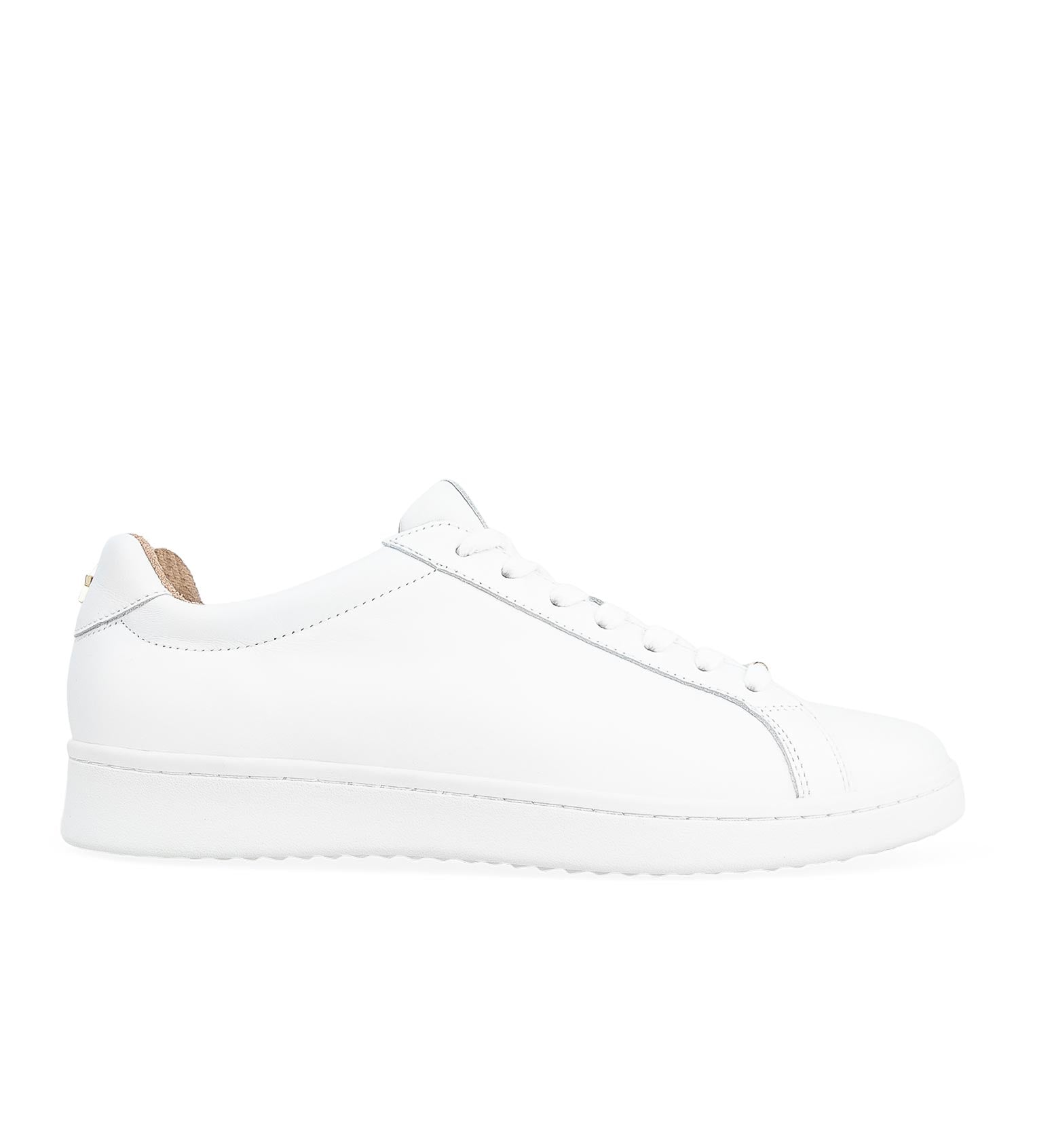 Whimbrel White Leather & Gold Star Sneakers | Bared Footwear