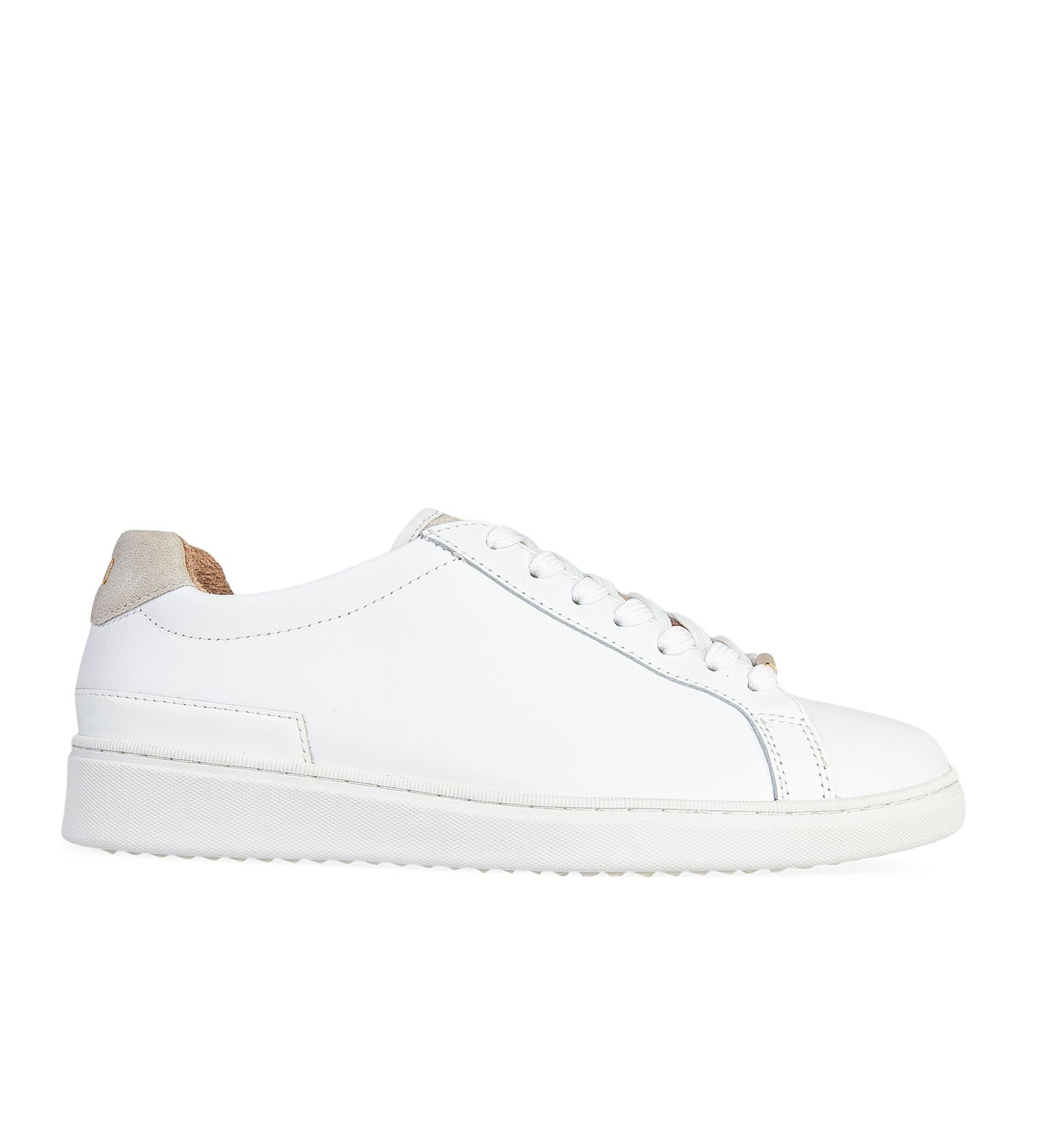 Hornbill 3 White Leather Sneakers | Bared Footwear
