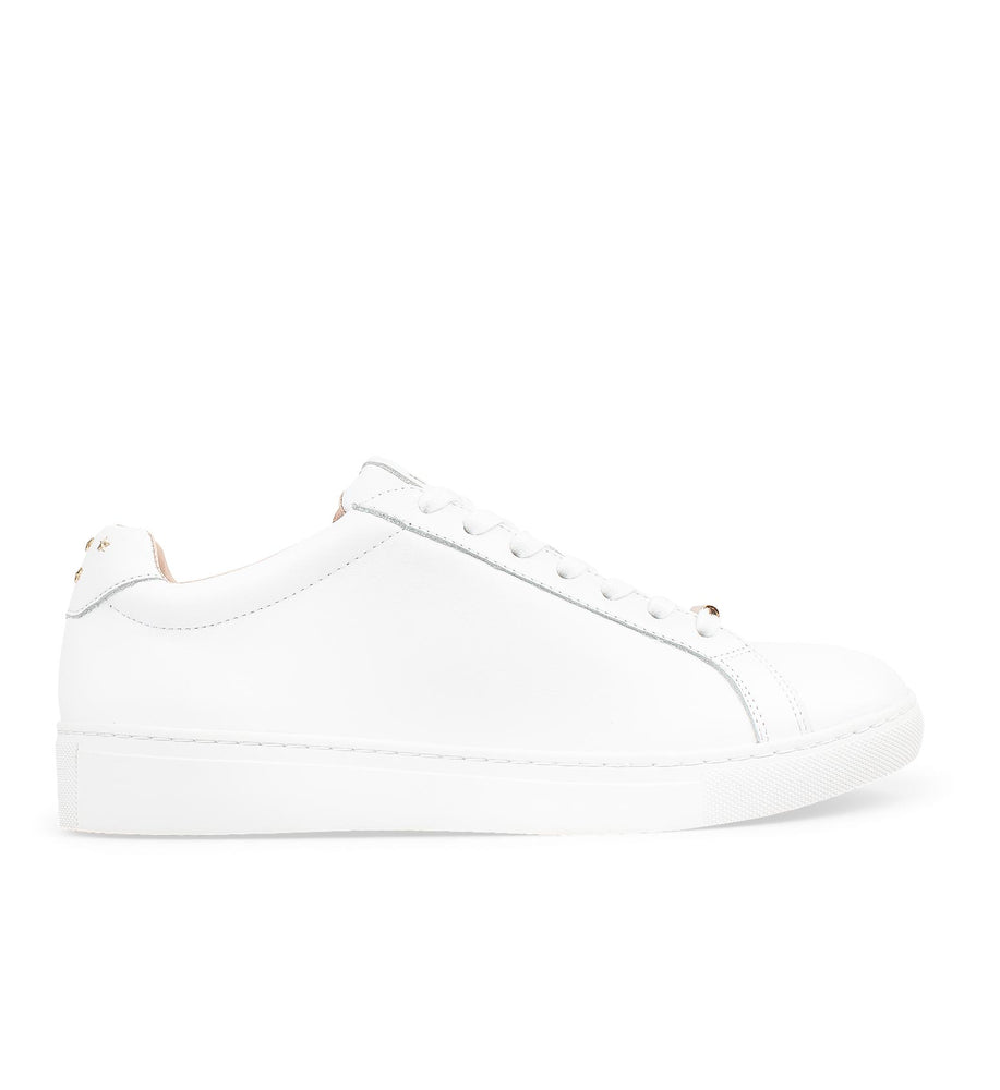 Thorntail White Leather & Gold Stars Sneakers | Bared Footwear