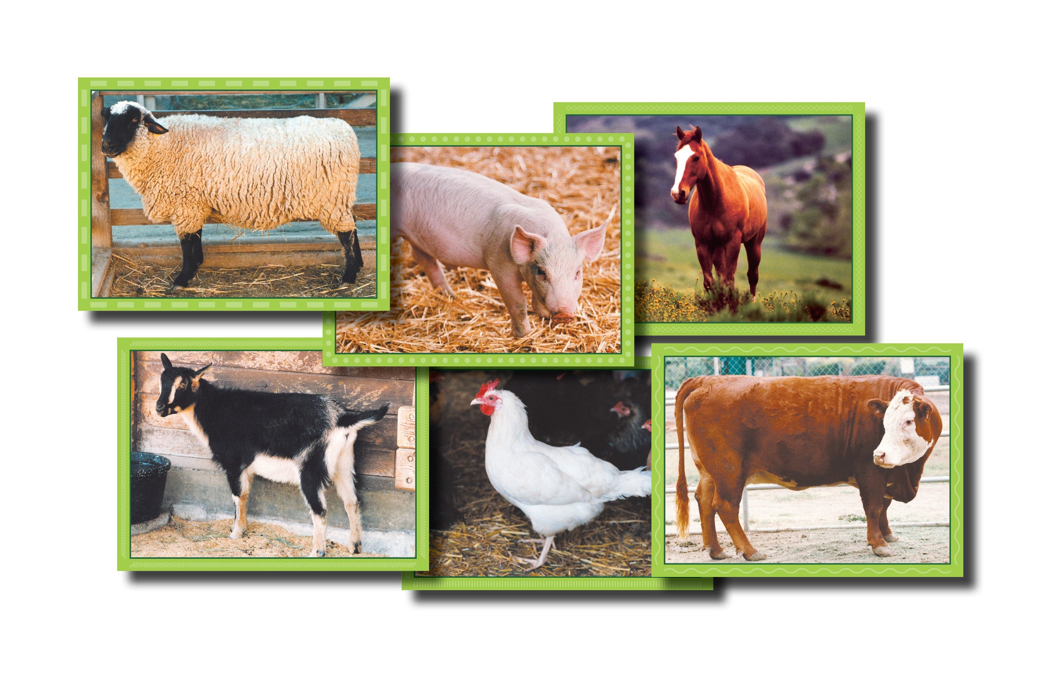 Farm Animal Puzzle - Stages Learning Materials