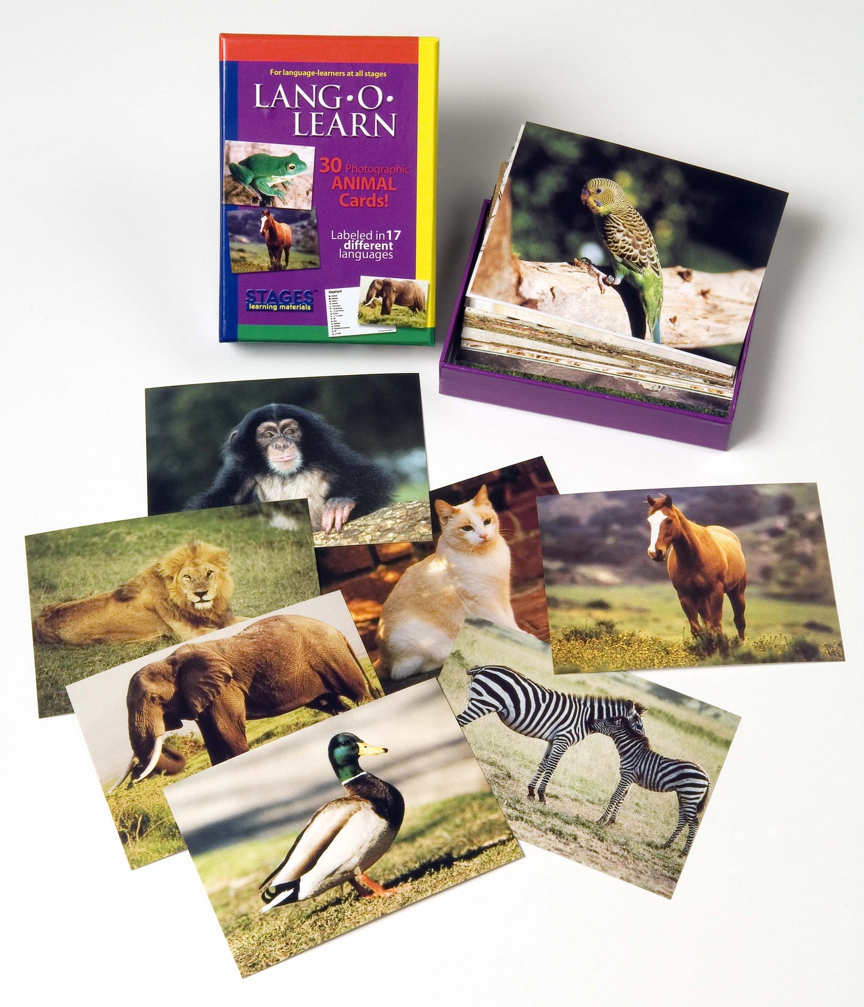 Lang-O-Learn Animal Cards | Stages Learning Materials