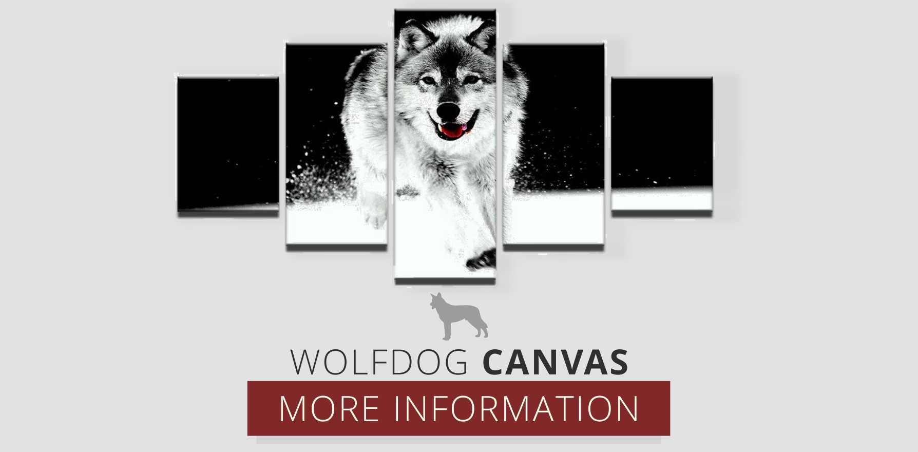 dog canvas wolf art