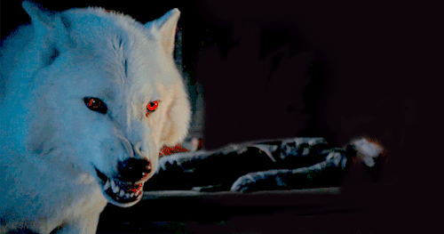ghost wolf game of thrones