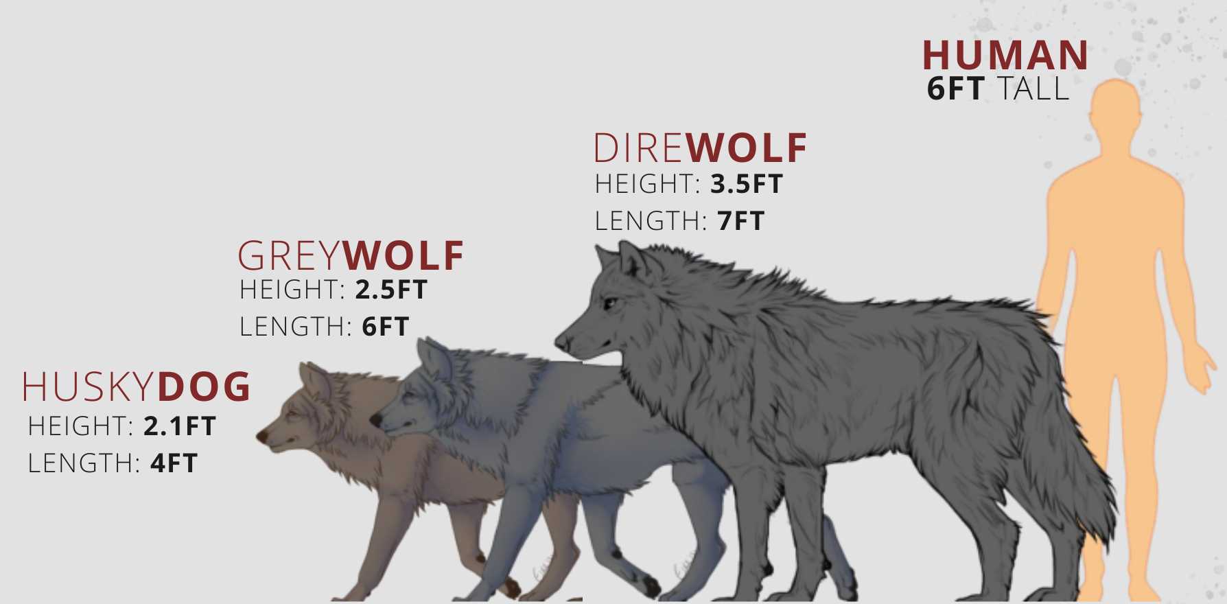 how big is a direwolf