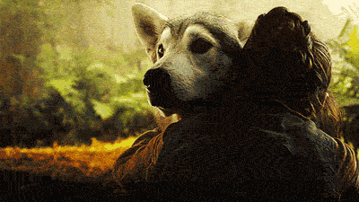 nymeria wolf game of thrones