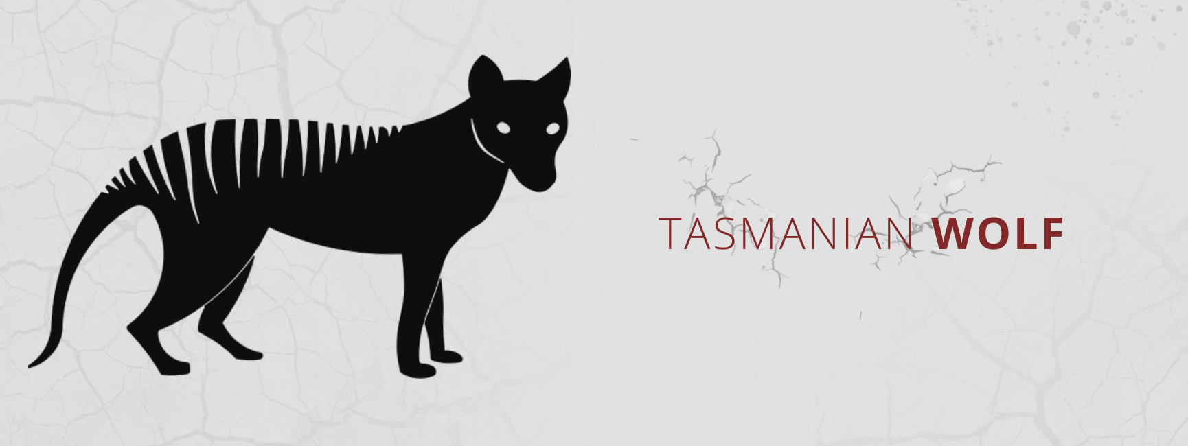 tasmanian wolf characteristics