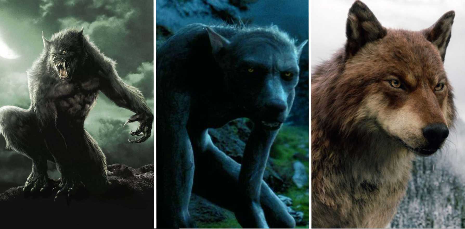 werewolf movies