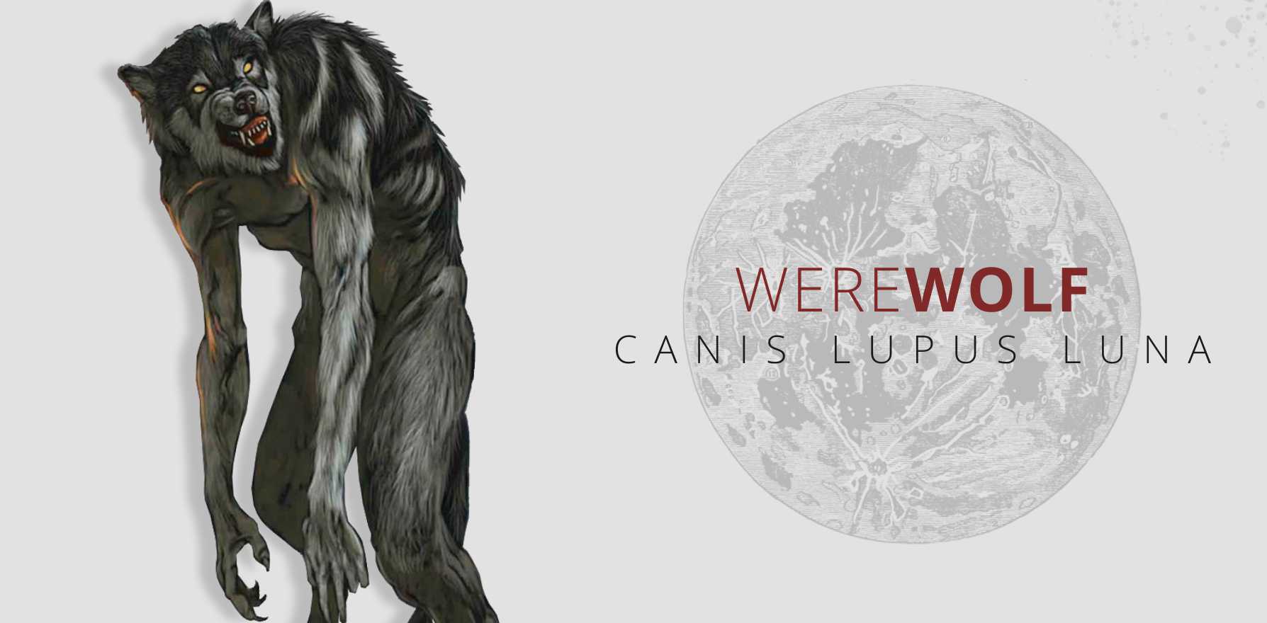 what is a werewolf