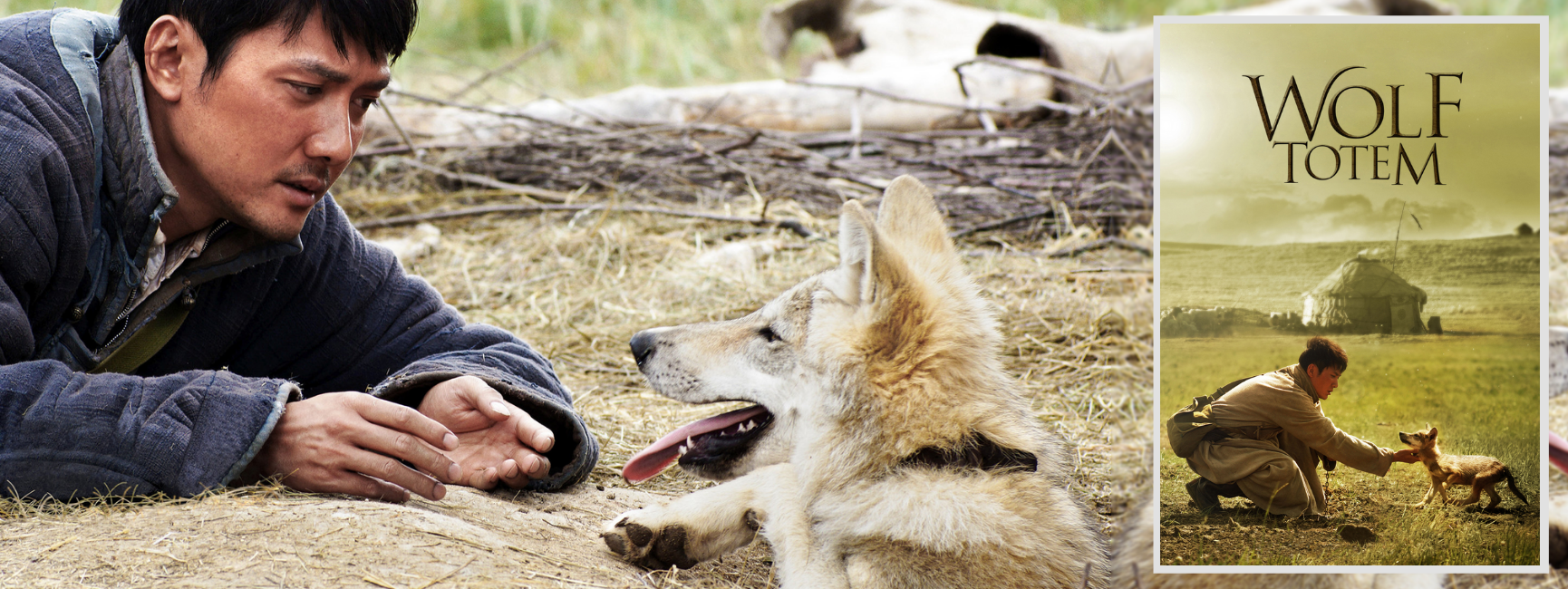 wolf totem movie